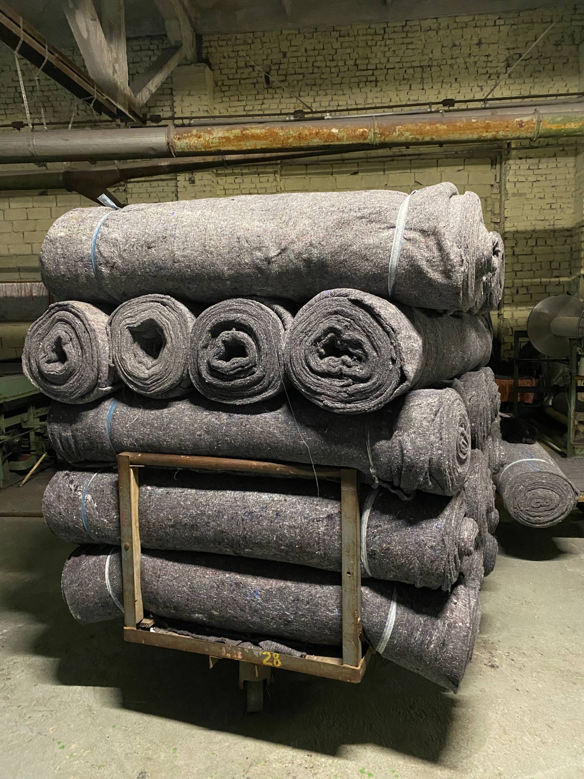 Ватин серый